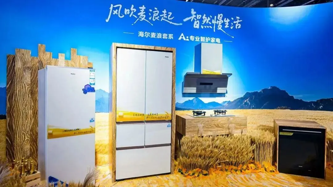 微信图片_20260513104547_66_766.png